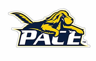 Pace University Metropolitan Collegiate Hockey Conference